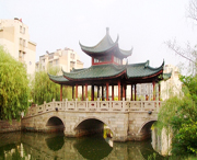西集村