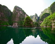 大榆树村