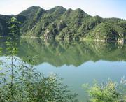 峪口村