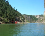 大屯村