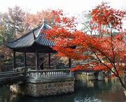 九里村