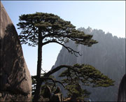 汤口村