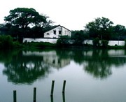 武阳村