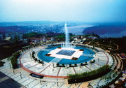 小井村
