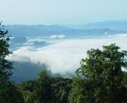 大坪村